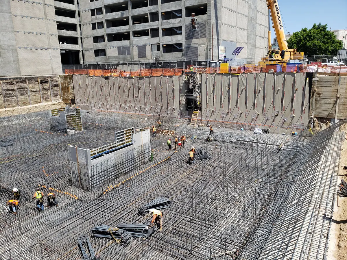 FIG + PICO image 1