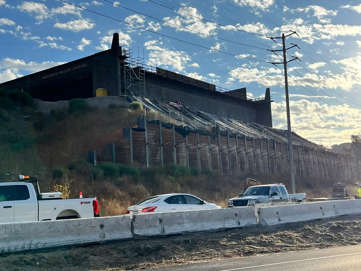 Wallis Annenberg Wildlife Crossing image 1
