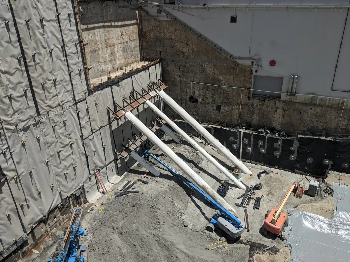 755 Fig image 1